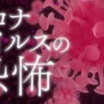 コロナ、世界の死者8万人超す